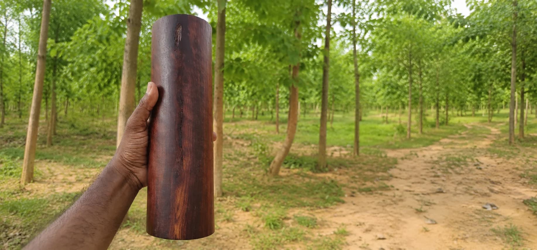 Plantations employ local people and use rural land — a genuine local benefit, stated honestly and without overclaiming.