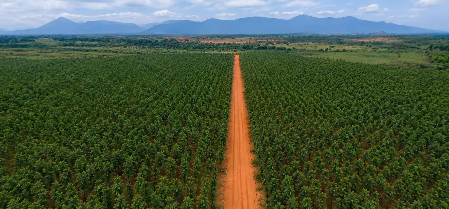 Choosing a farmland partner