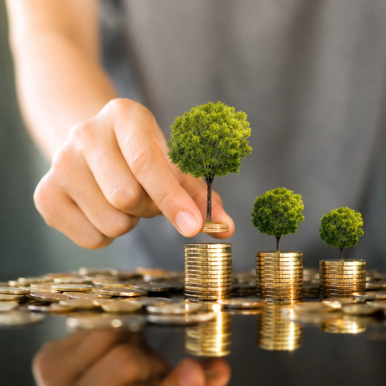 Saplings and coins, growth concept
